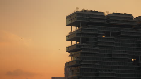 modern skyscraper at sunset