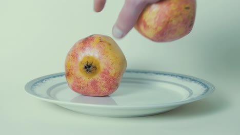 agarrando granada del plato contra el fondo blanco.