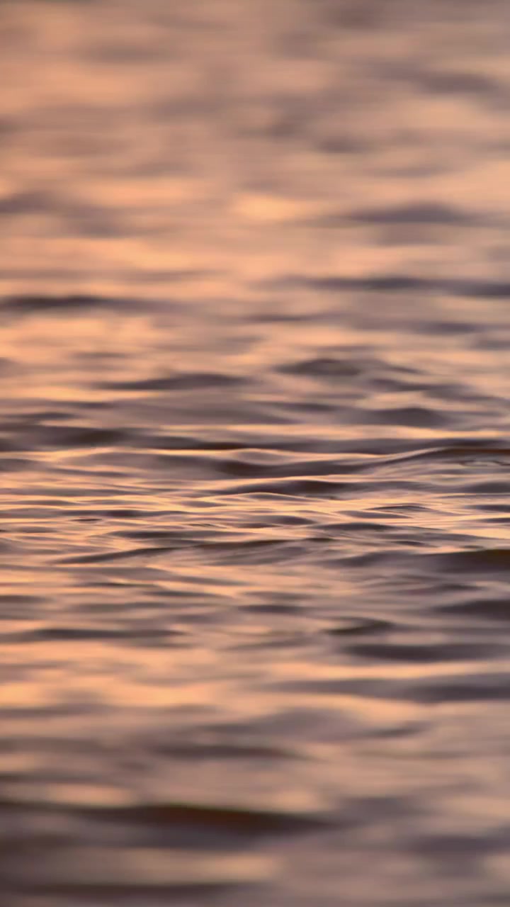 Calm Water Surface with Soft Ripples and Golden Hour Reflections