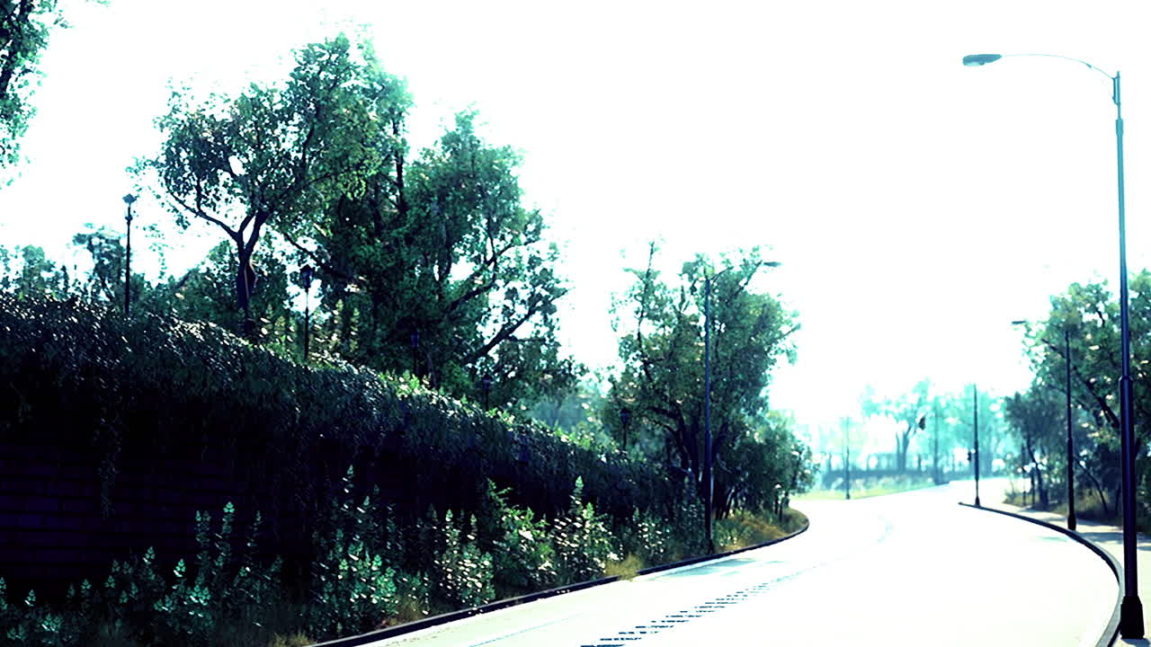 Scenic winding road surrounded by lush greenery on a bright sunny day