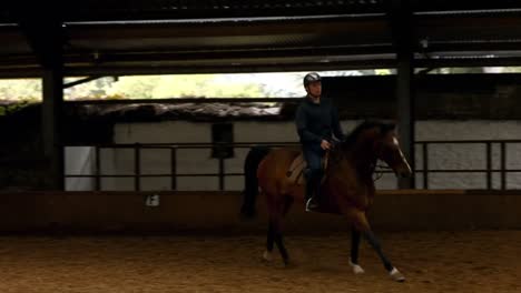 man riding horse around paddock