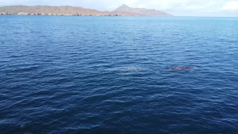 Blue-waters-of-Baja-California-Sur-with-distant-mountains,-habitat-of-grey-whales,-calm-ocean-scene,-daylight