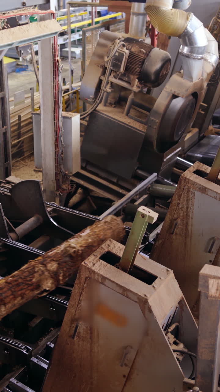 Industrial background of a woodworking plant. Working process of automated equipment on the modern power-saw bench. Vertical video