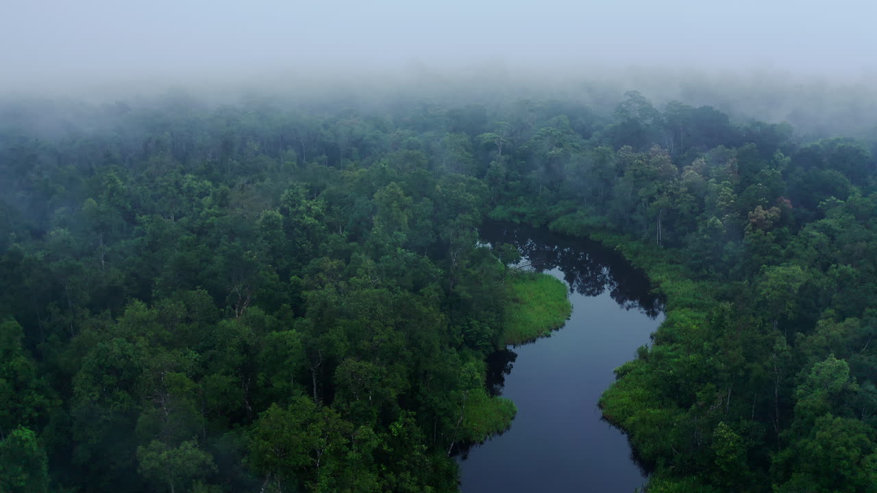Misty Rainforest River from Above