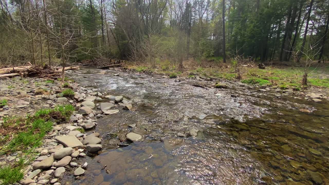 Aliran sungai yang indah di Pegunungan Catskill selama musim semi di Lembah Hudson, Negara Bagian New York