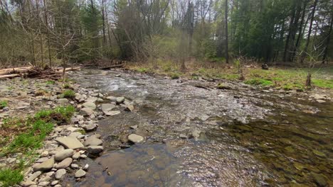 a beautiful stream in the catskill mountains during spring in new york state's hudson valley