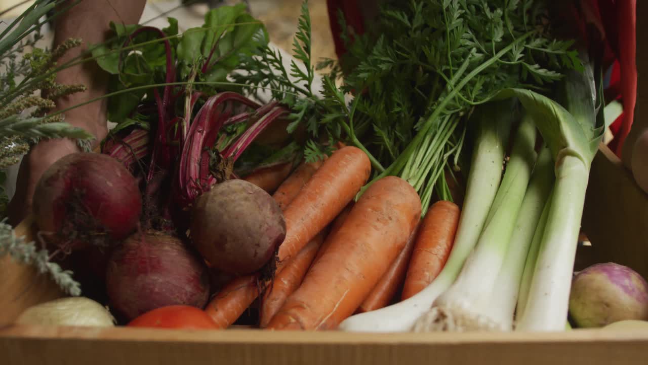 Senior caucasian man taking basket of fresh vegetables in garden