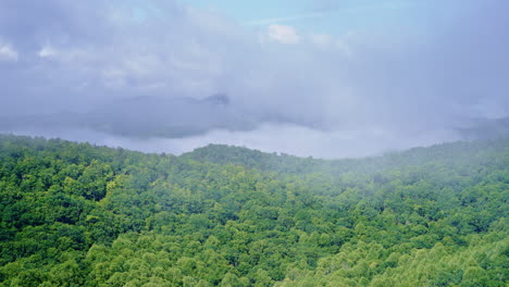 drone flight pressing slowly into fog-covered terrain