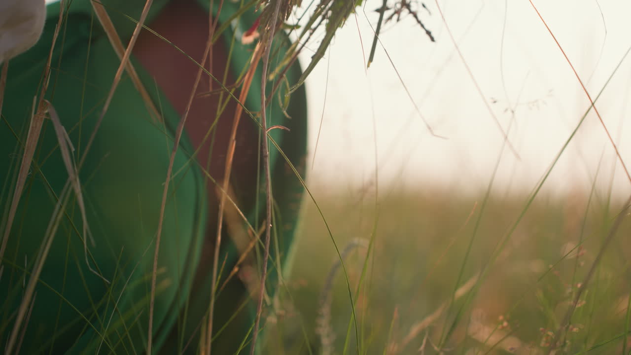 close up of wild yellow flowers growing among brown and green grass as lady in green dress bends to pick them during golden hour, soft natural light highlighting detail