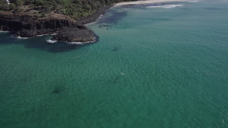 Pod-of-beautiful-Bottlenose-Dolphins-playing-in-shallow-water---Aerial