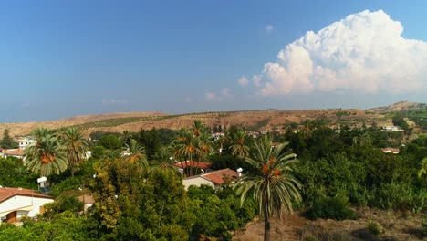 Drone-flying-through-palm-trees-and-houses-during-daytime-with-clouds