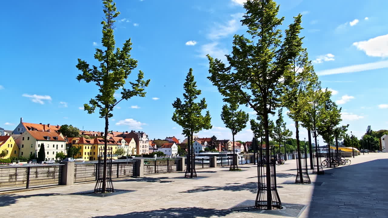 Young trees along river promenade with Regensburg in background, Germany
