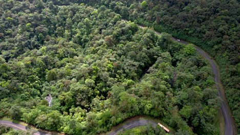 Winding-Road-cutting-through-thick-forest-of-jungle-rainforest