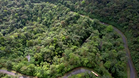 Kurvenreiche-Straße,-Die-Durch-Dichten-Dschungel-Regenwald-Führt