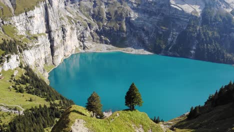 aerial flyover over the famous trees overlooking the turquoise lake oeschinensee in kandersteg, switzerland with view of bluemlisalp and glaciers