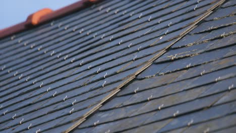 dirty rooftop of private home, close up view