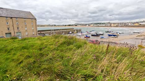 a coastal town with boats and greenery