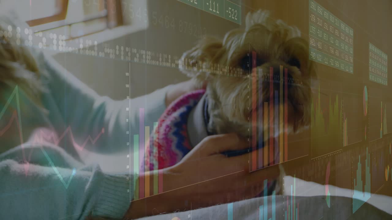 woman left hand entering frame stroking terrier dog on bed soothing pet while floating stock charts