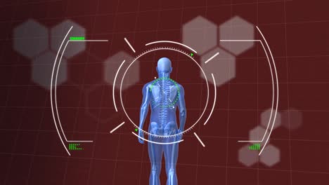 Zielfernrohrscan-über-Menschliches-Körpermodell,-Das-Vor-Chemischen-Strukturen-Auf-Rotem-Hintergrund-Läuft