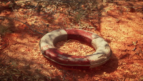 buya de anillo de vida en la playa del desierto