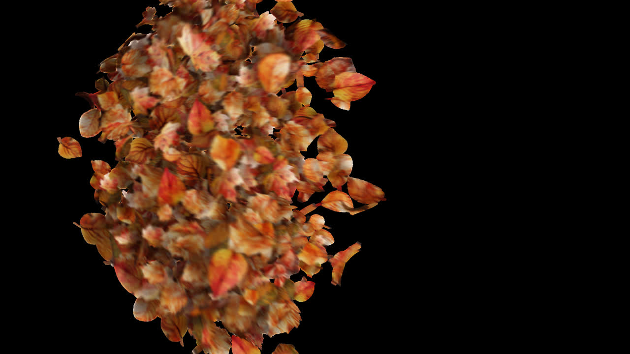 Autumn Leaves Burst Element on Transparent Background