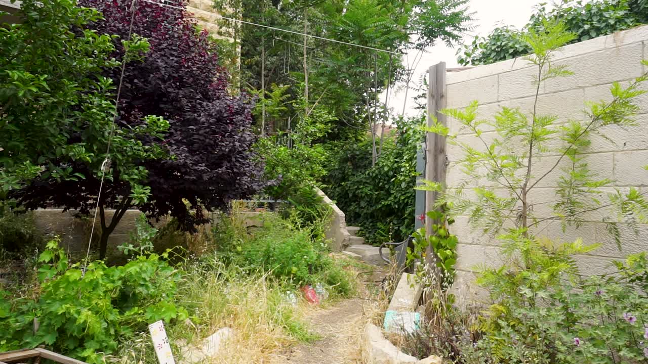 Paikallinen puutarha Jerusalemissa talvella, ympärillä kivirakennuksia