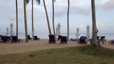 luxury beach lounge beds with umbrella on green lawn near beach