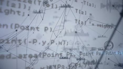 animación de la red de conexiones a través del procesamiento de datos