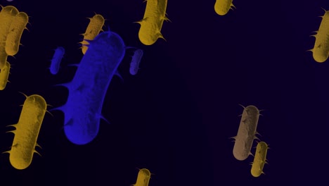 4k bacterias microscópicas antecedentes médicos - bucle, bacteria bucleable - flotación de bacterias e. coli - bacteria - animación en 3d de bacrerium. espirilla - bacteria de primer plano - color azul amarillo