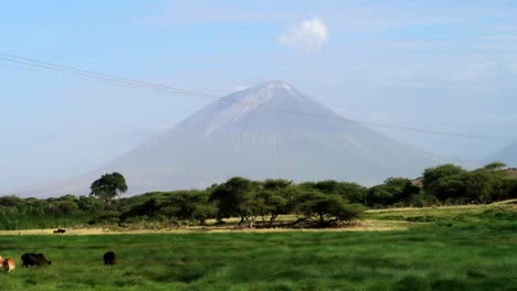 sensacional toma de establecimiento del monte kilimanjaro a distancia con animales salvajes