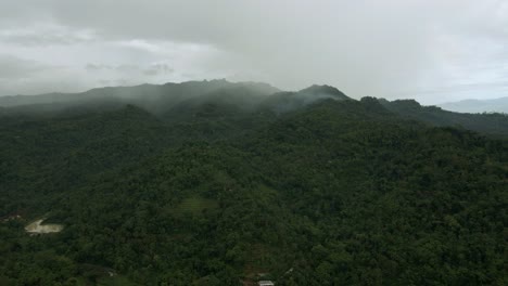 Vista-Aérea-De-La-Interminable-Selva-Tropical-En-Las-Colinas-En-Una-Mañana-Brumosa