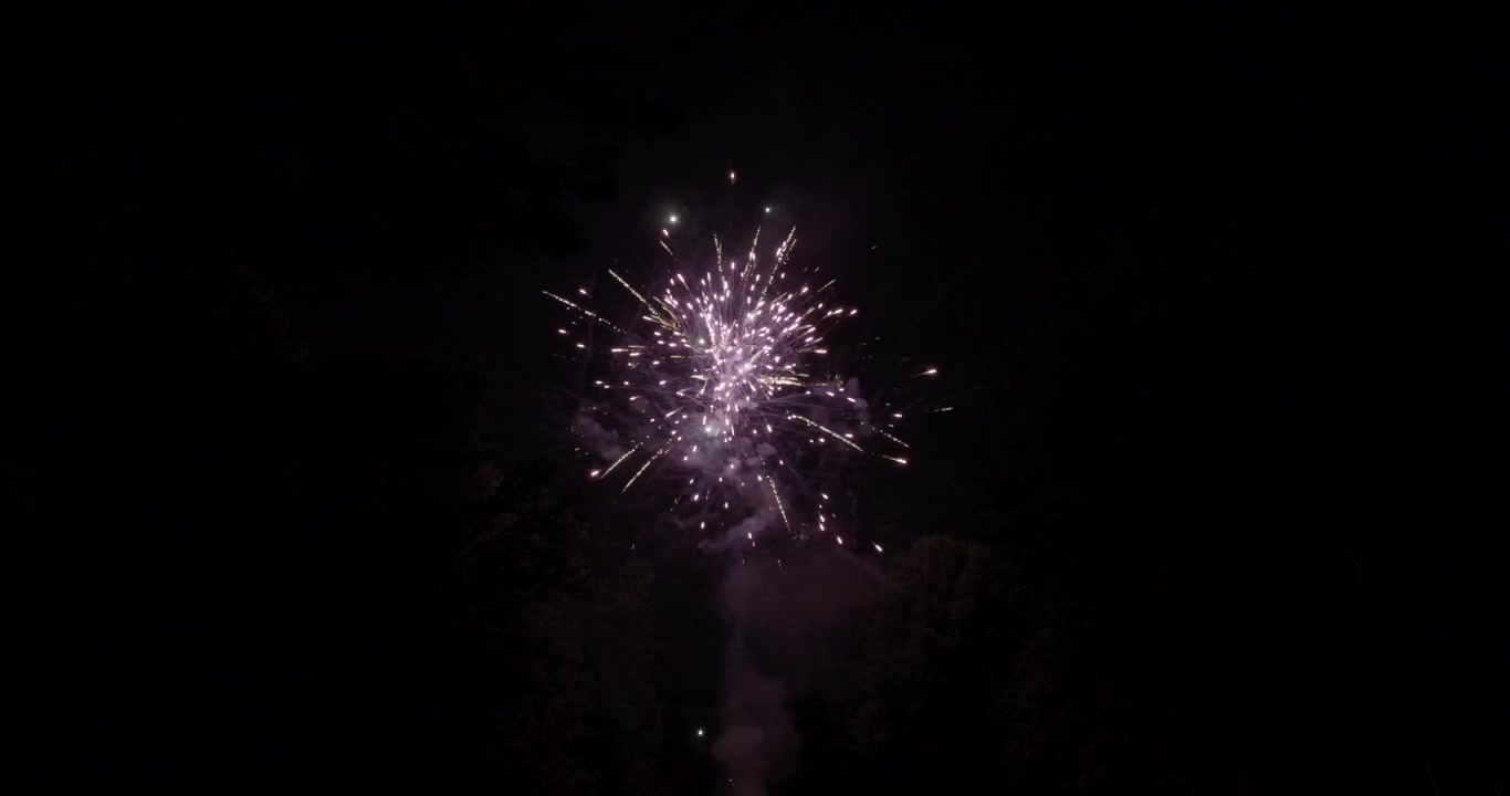 Una vista grandangolare mozzafiato di vivaci fuochi d'artificio che illuminano il cielo notturno sopra una fitta e scura foresta.