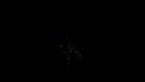 a stunning wide-angle view of vibrant fireworks lighting up the night sky above a dense, dark forest