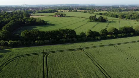 Aerial-drone-shot-of-the-beautiful-field-at-cronton-village-united-kingdom-with-view-of-trees-and-the-beautiful-landscape