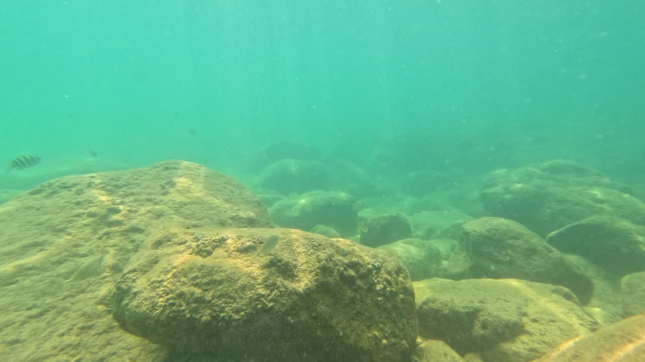 Scena subacquea con rocce e pesci in acqua turchese cristallina, che mette in mostra la vita marina naturale a Phuket, Thailandia.