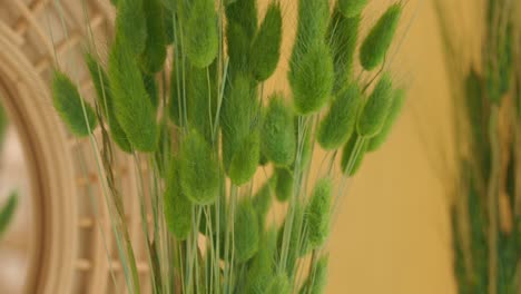 close-up of decorative green grass