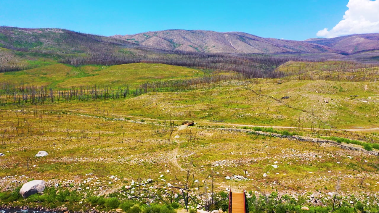 Wide aerial view of a burned mountain valley with winding dirt tracks, rocky terrain, sparse blackened trees, and bright summer regrowth stretching beneath a clear blue sky.