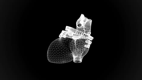 el corazón humano en forma de partículas y plexo.
