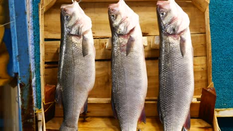 fresh sea bass in a wooden crate