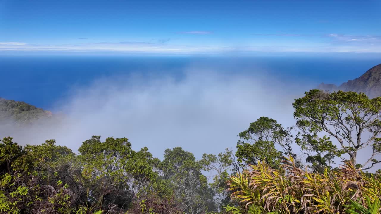 칼라루 전망대, 카우아이, 하와이