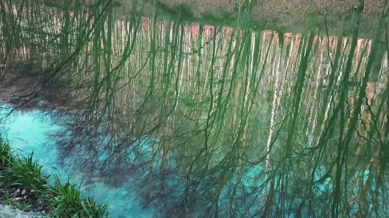 Riflesso di alberi in un lago nel bosco. Riprese in primavera.