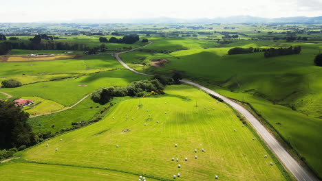 Landscape-of-agricultural-fields-and-shepherding