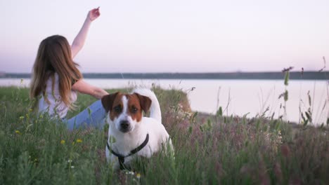 young happy woman and het little dog sitting with flying kite on a glade at sunset