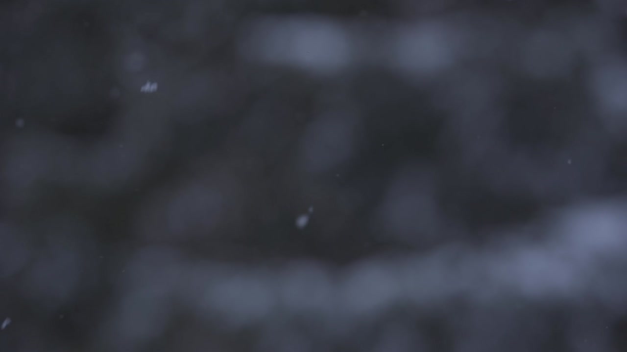 눈 폭풍: 가 ⁇ 운 눈이 떨어지고, 가 ⁇ 운 먼지가 떨어집니다.