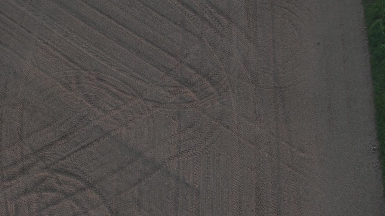 Young maize plants emerge in evenly spaced rows across cultivated soil in the Po Valley, Emilia Romagna, Italy, with visible tractor tire tracks creating patterns between the developing crop, top down