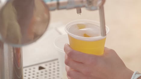 bartender pours beer into a plastic glass