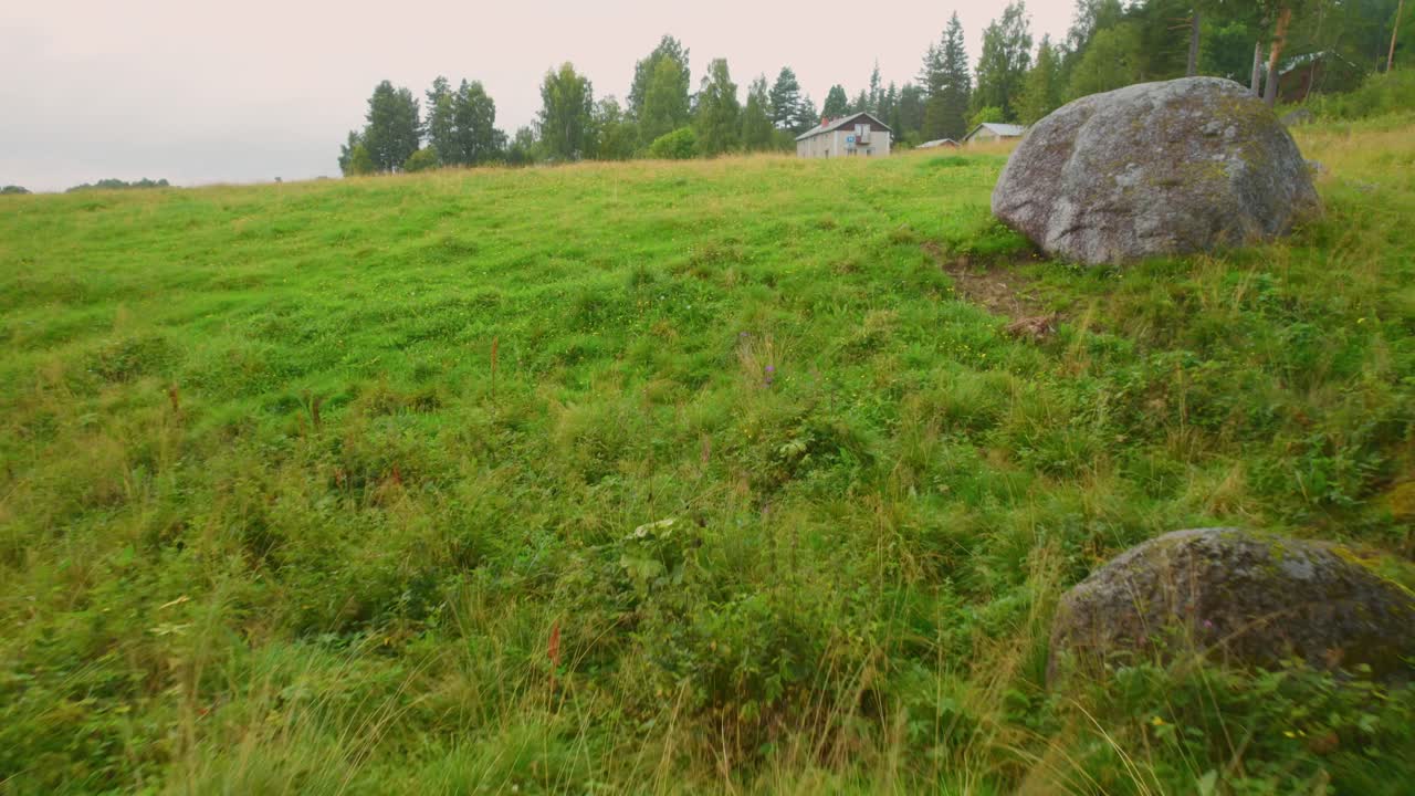 volando sobre un prado de verano junto a un granero