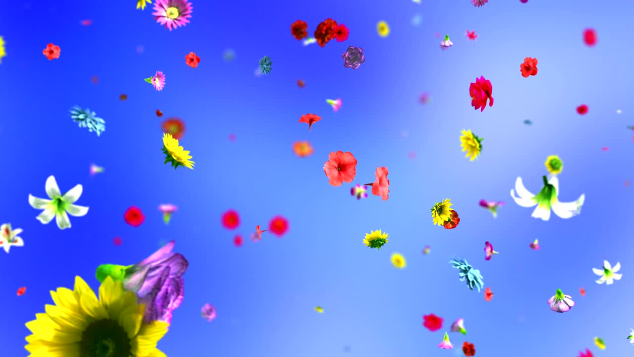 explotando flores coloridas en 4k