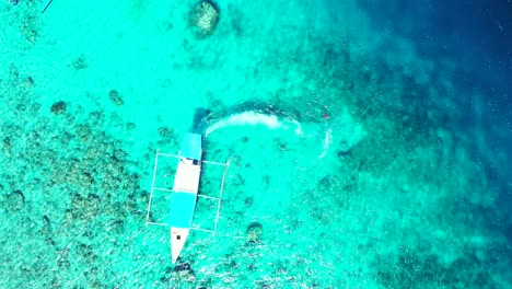 Balinese-boat-starting-motor-engine-and-rotating-propellers,-tracing-on-turquoise-shallow-lagoon-with-crystal-water-over-rocky-seabed