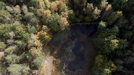 Aerial-view-of-forest-in-Partille,-Sweden,-wide-shot-directly-above